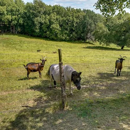 Holiday home Atypique, Maison Perigourdine Du Xixe